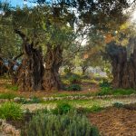 Jardim do Getsemani